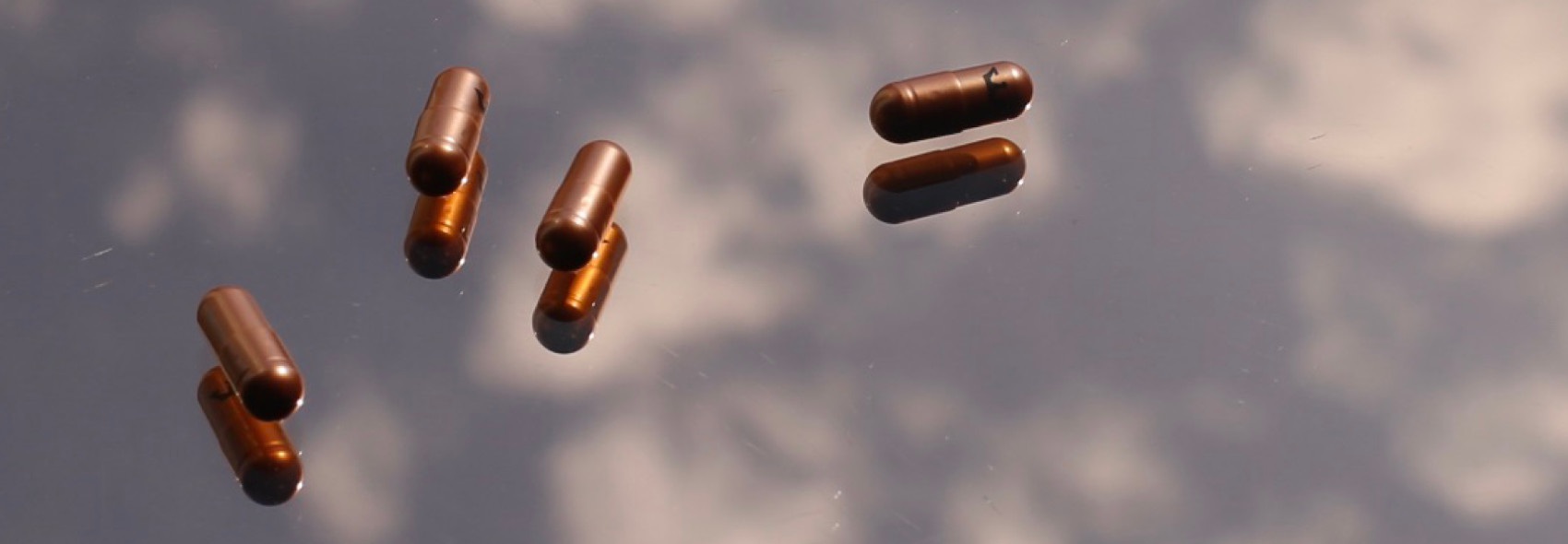 LYMA Supplement capsules on table