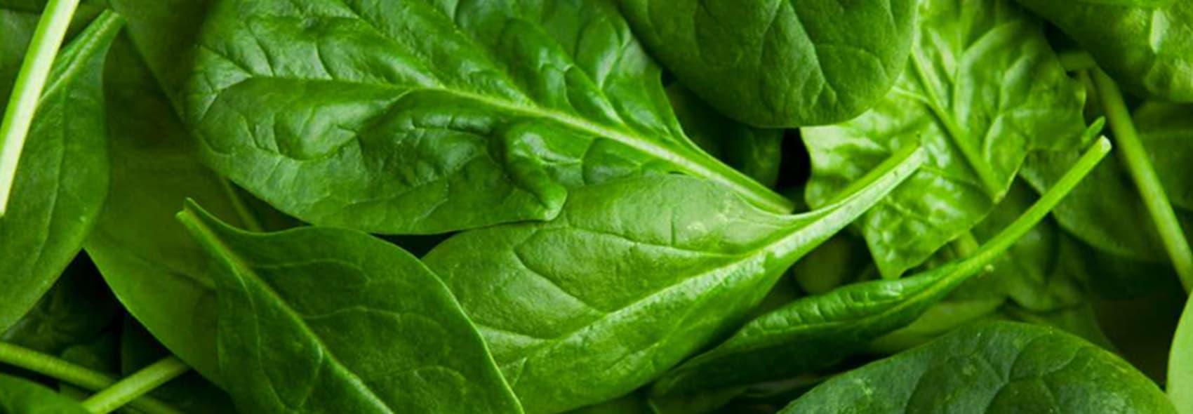 Spinach for Hair breakage