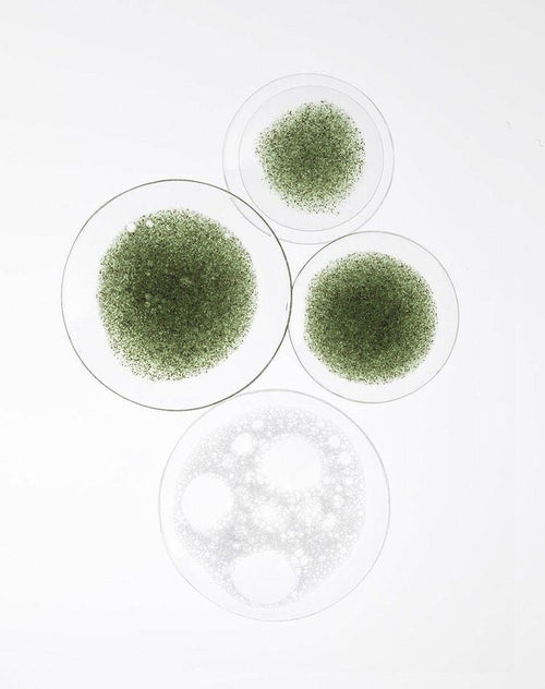 The GLP-1 Paradox: Why the Gut Still Isn't Part of the Conversation